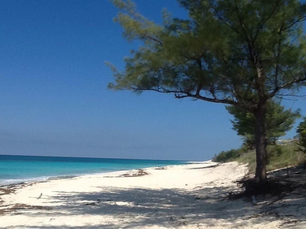 Oceanfrontier Hideaway Otel Great Guana Cay Dış mekan fotoğraf