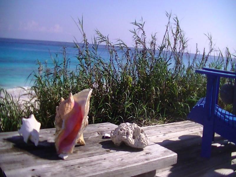 Oceanfrontier Hideaway Otel Great Guana Cay Dış mekan fotoğraf